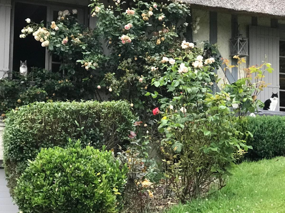 Les Chaumieres Du Pays D'Auge Bed and Breakfast Le Breuil-en-Auge Eksteriør billede