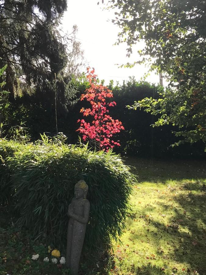 Les Chaumieres Du Pays D'Auge Bed and Breakfast Le Breuil-en-Auge Eksteriør billede