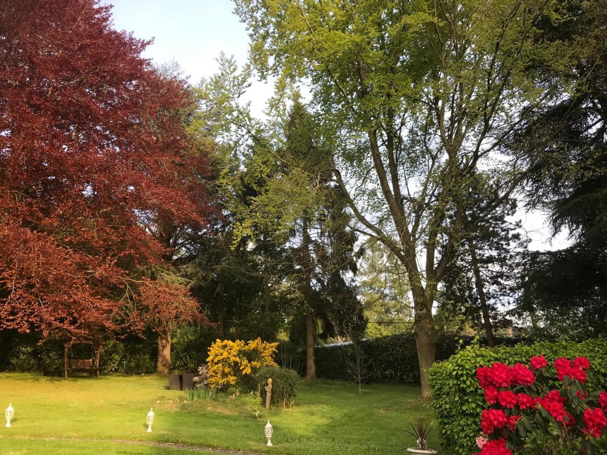 Les Chaumieres Du Pays D'Auge Bed and Breakfast Le Breuil-en-Auge Eksteriør billede